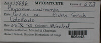 Image Associated With the Occurence